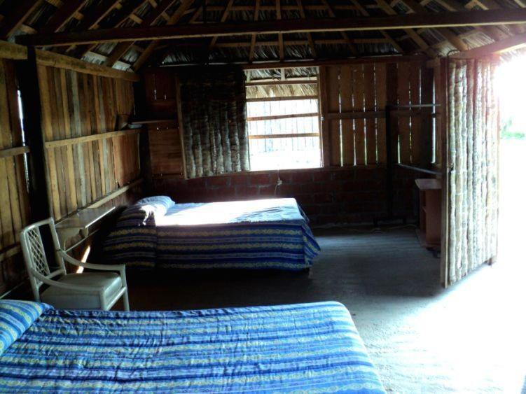 Cabanas Pie De La Cuesta Hotel Coyuca Bilik gambar